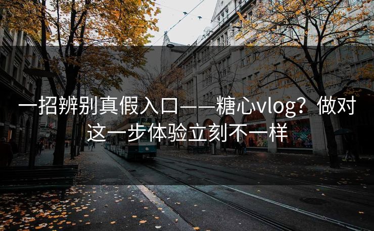一招辨别真假入口——糖心vlog?做对这一步体验立刻不一样 第1张 一招辨别真假入口——糖心vlog?做对这一步体验立刻不一样 第1张